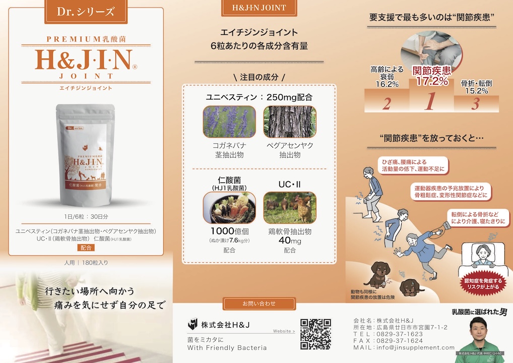 エイチジンジョイント人用_パンフレット