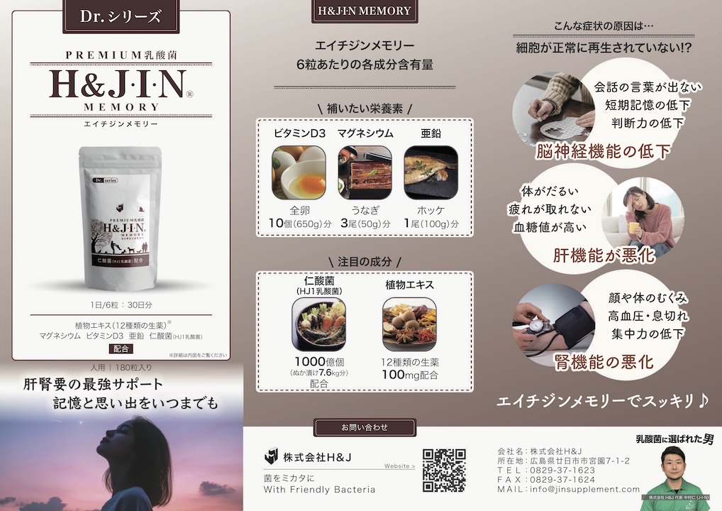 エイチジンメモリー人用_パンフレット